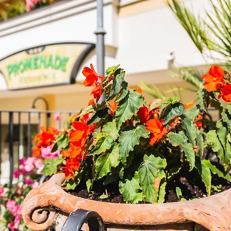 מלון דירות Promenade